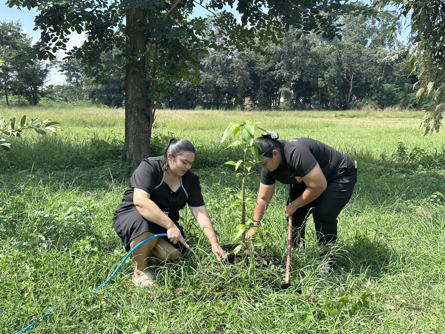 572364979 1304197654840709 7424202121653382001 N